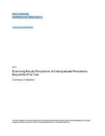 Examining faculty perceptions of undergraduate persistence beyond the first year